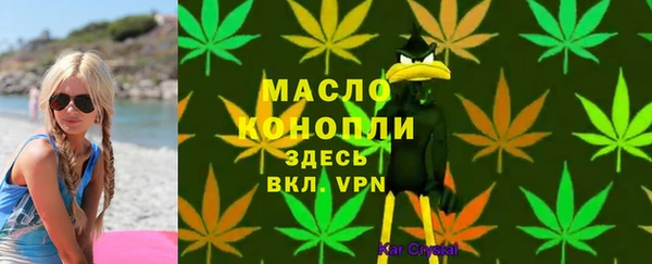 стафф Ельня