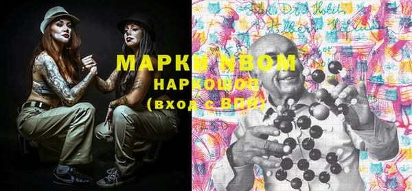 таблы Новозыбков