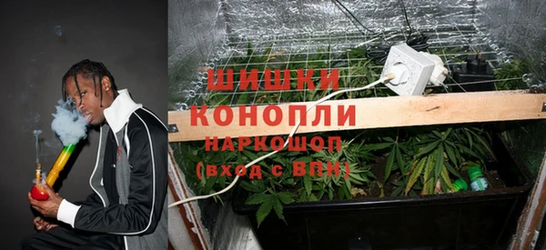 ешки Каменногорск