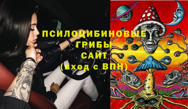 первитин Новодвинск