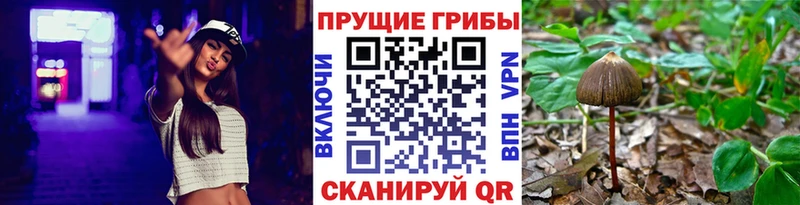 Псилоцибиновые грибы мухоморы купить Бердск